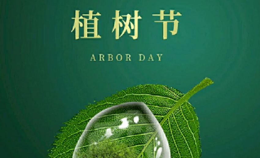 福天輥筒丨植樹節(jié)，播種希望，承載夢想